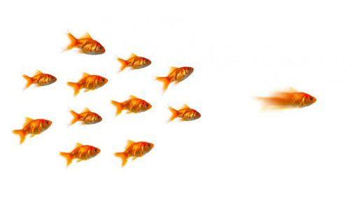 Follow the leader