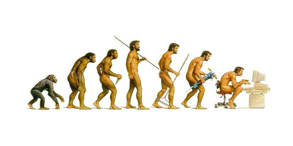 Human evolution
