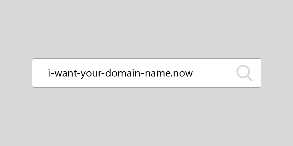 iwantyourdomainname.now