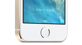 iPhone 5S home button