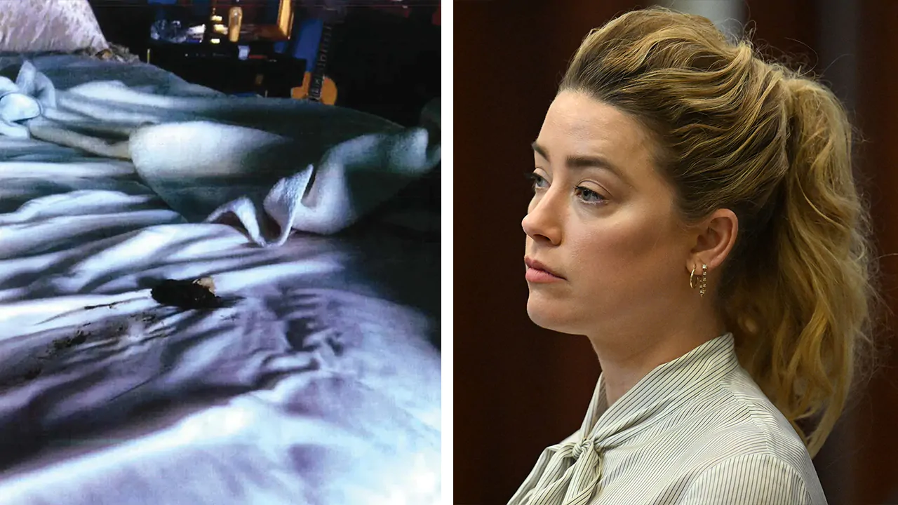 Amber Heard, Amber Turd