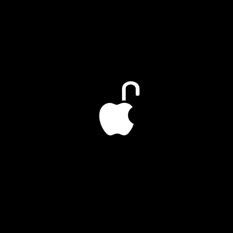 Apple lock