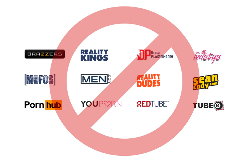 Aylo websites blocked