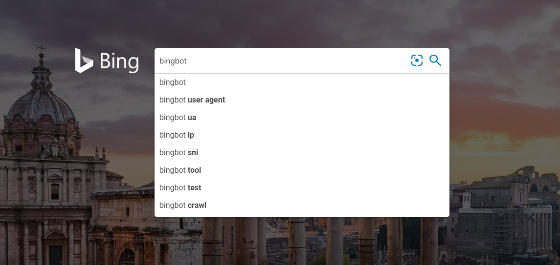 Bing searching for Bingbot