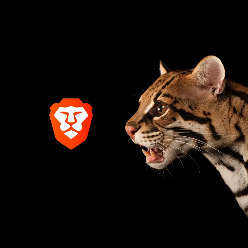 Brave Ocelot