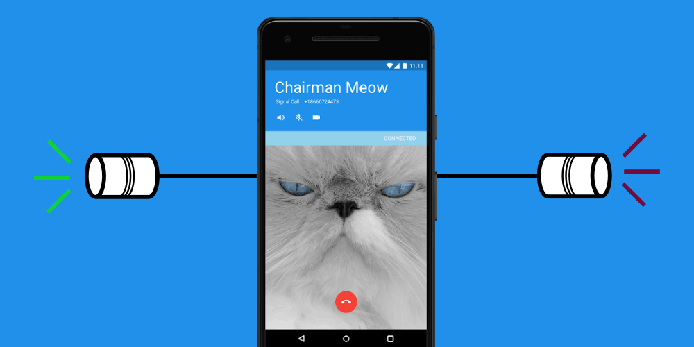 Signal - Chairman Meow