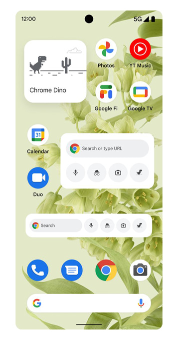 Google Chrome widgets.