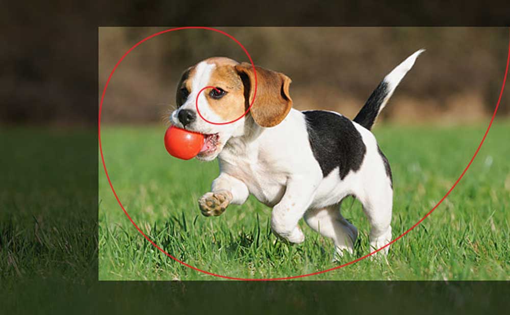 Cropping - golden spiral