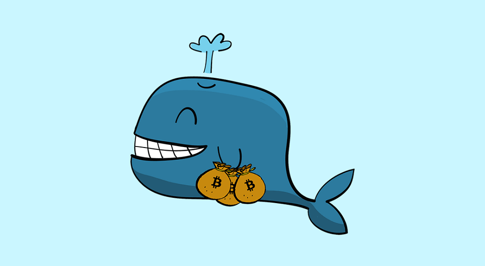 Crypto Whale