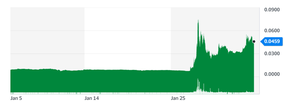 Dogecoin, early 2021 hype.
