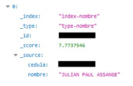 Leaked entry for Julian Assange