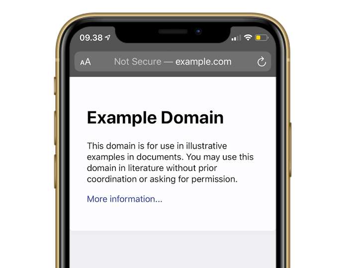 Safari - Example.com iPhone XR