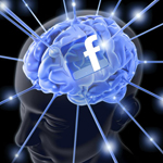 FB brain