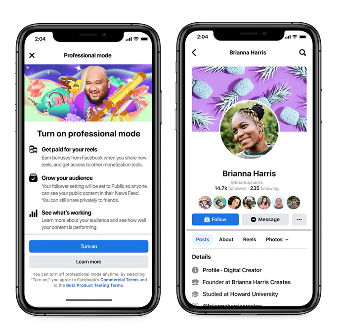 Facebook professional mode