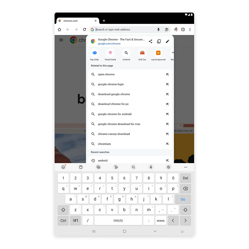 Google Chrome web browser