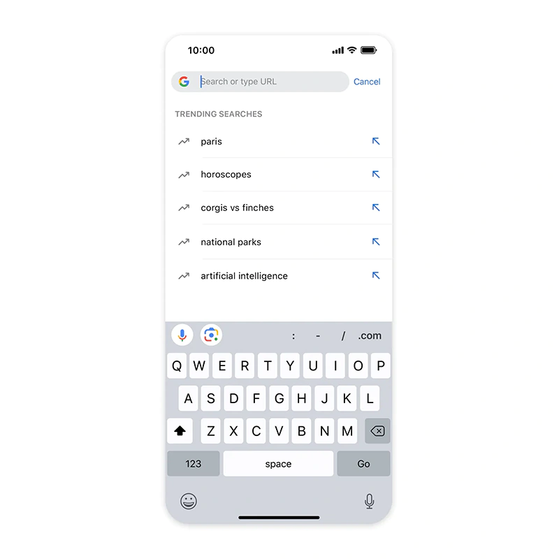 Google Chrome web browser