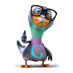 Google Pigeon