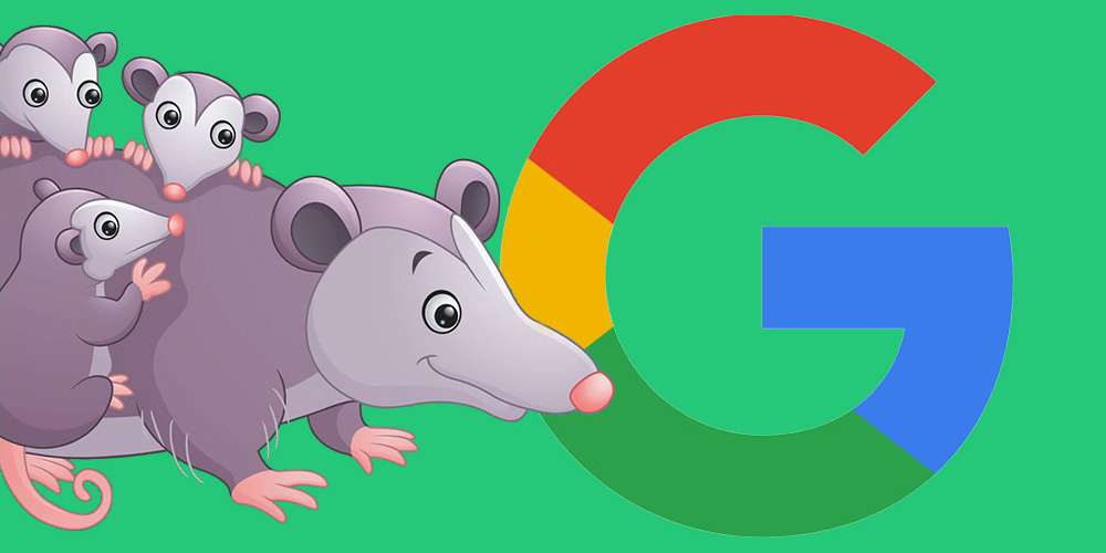 Google Possum
