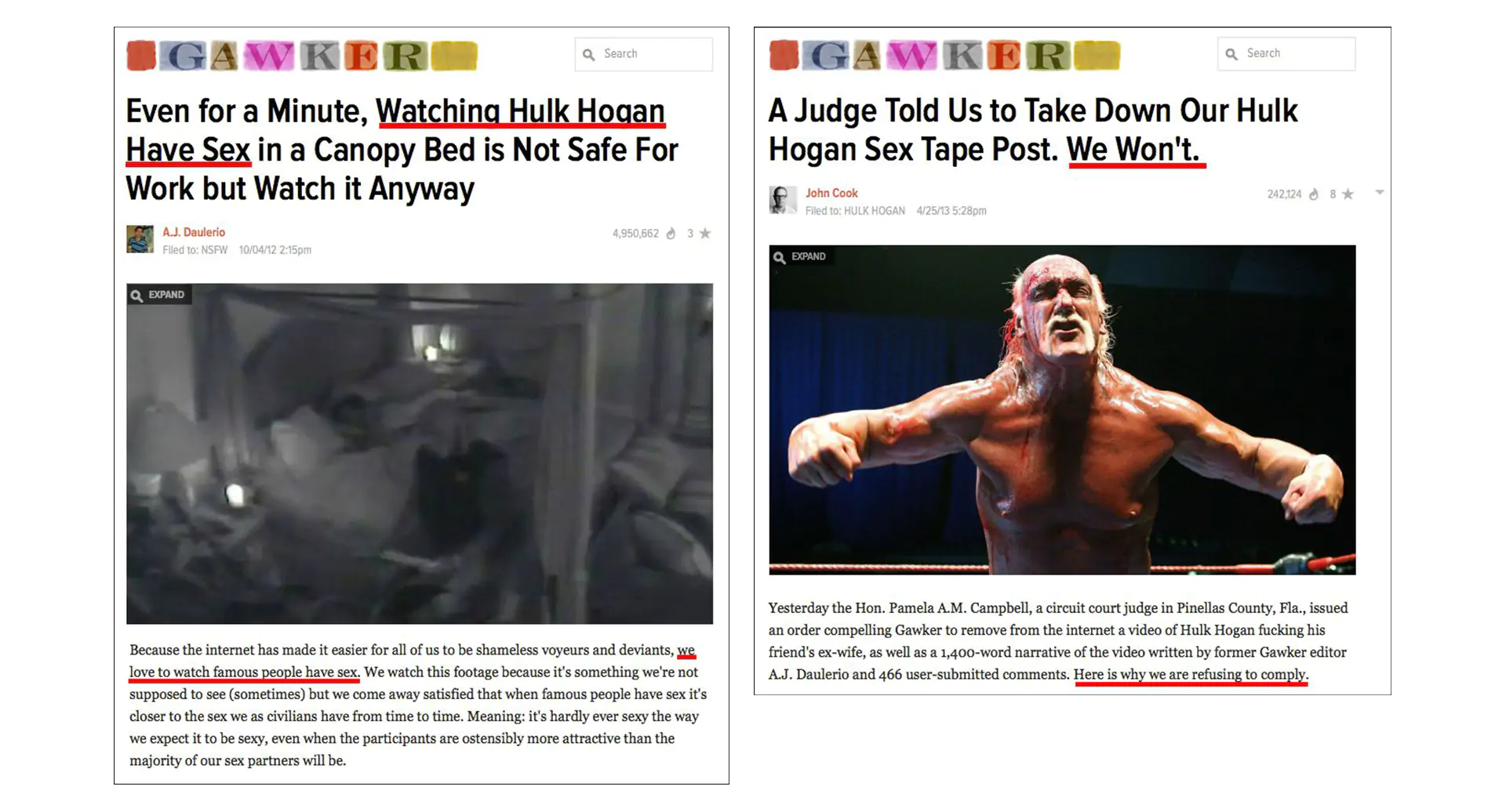 Hulk Hogan Versus Gawker, And The Fight To Stop The Cuckolding Sex Tapes  Virality | Eyerys