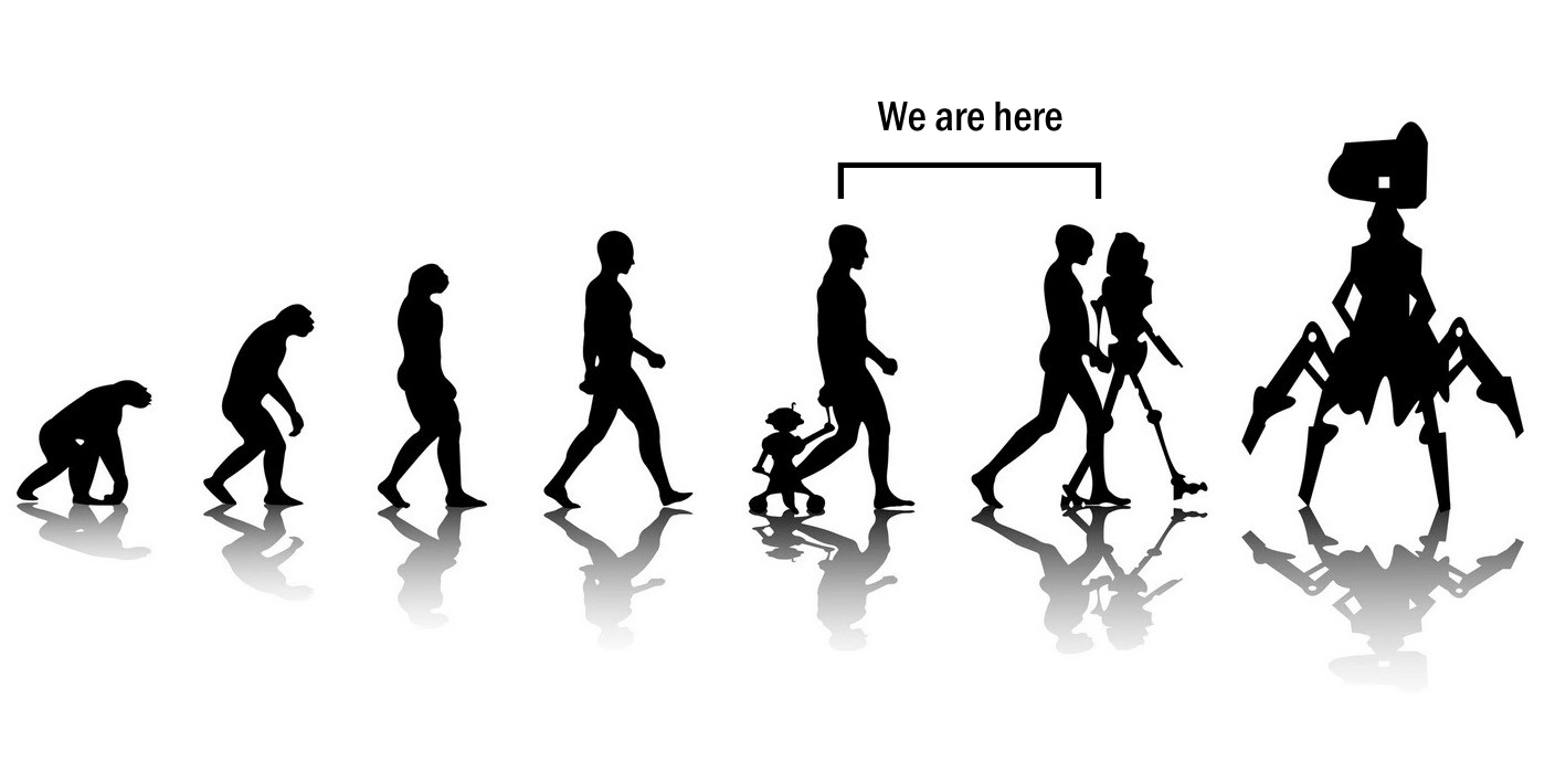 Human evolution