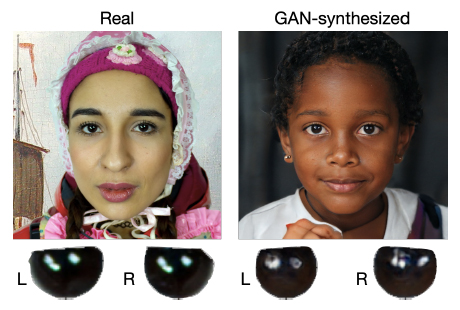 Human eyes, GAN-generated eyes.
