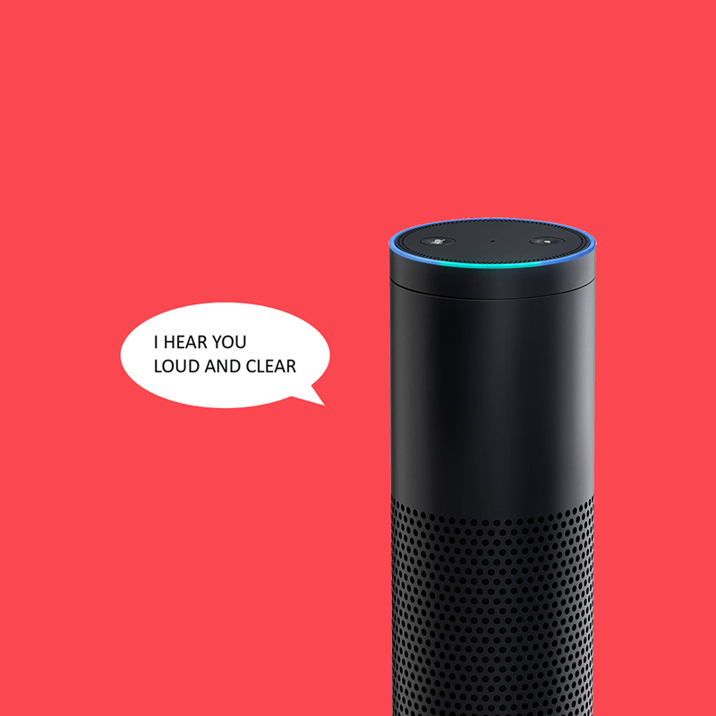 I hear you, Alexa