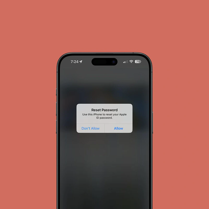 iPhone password reset