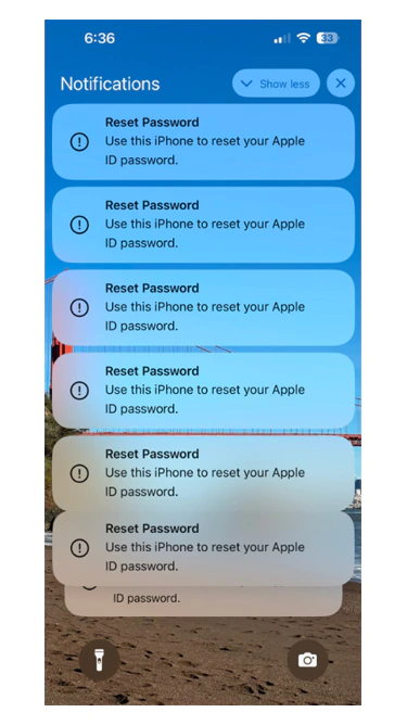 iPhone password reset