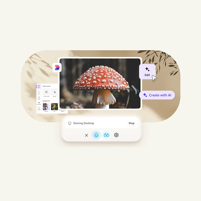 Vision Desktop Share.