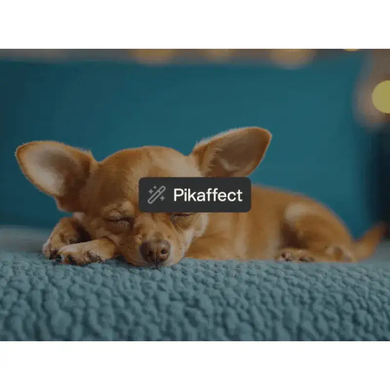 Pika, Pikaffect