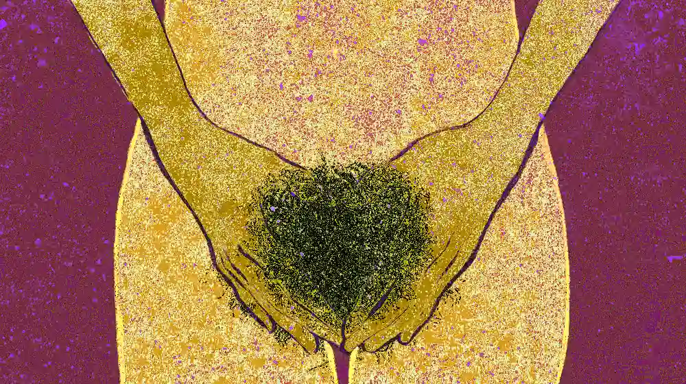 Pubic hair illustration.