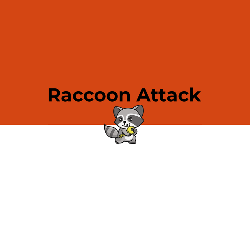 Raccoon Attack