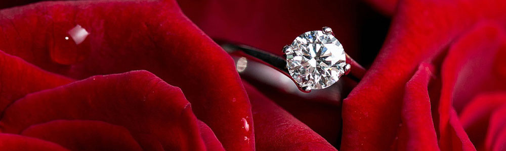 Roses - diamond ring