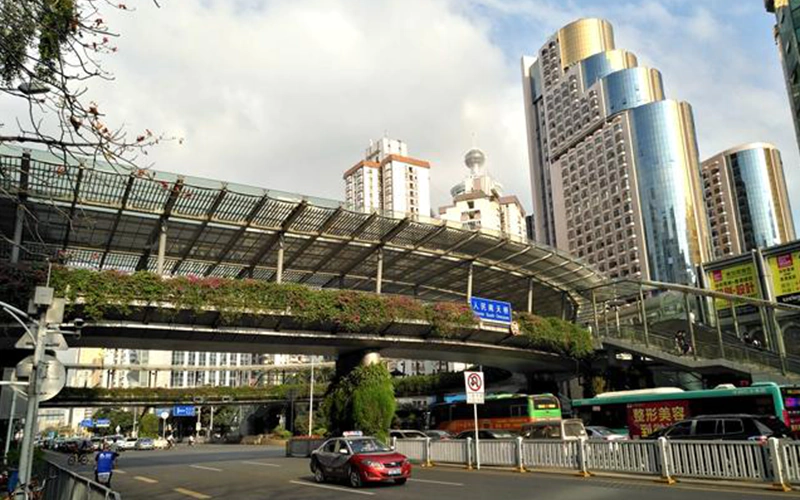 A kiss that saved a life.