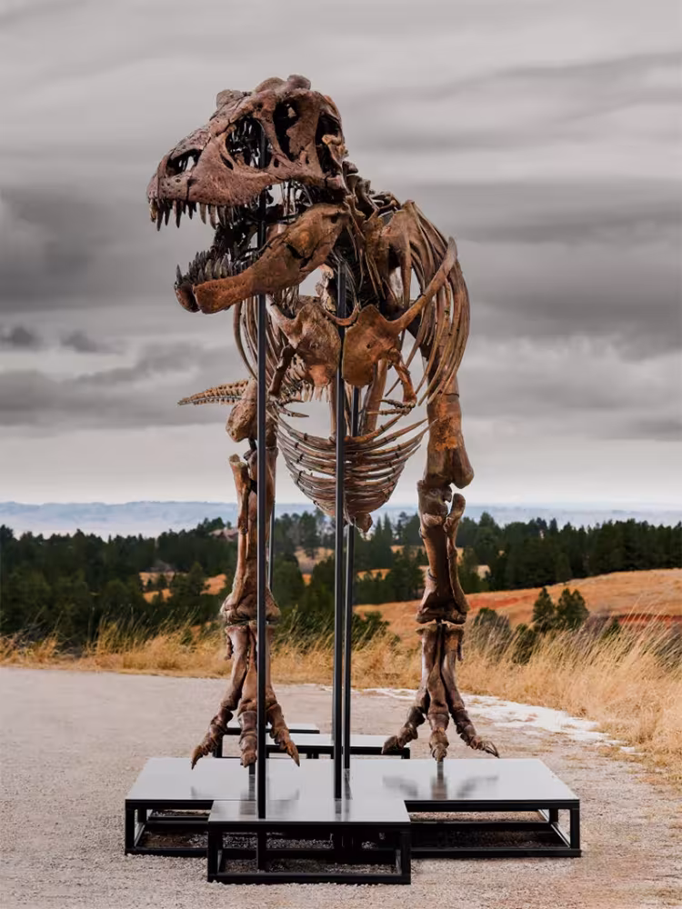 Gus, the T-rex