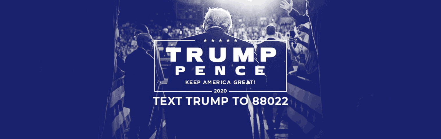 The background image of Donald Trump's verified Twitch account