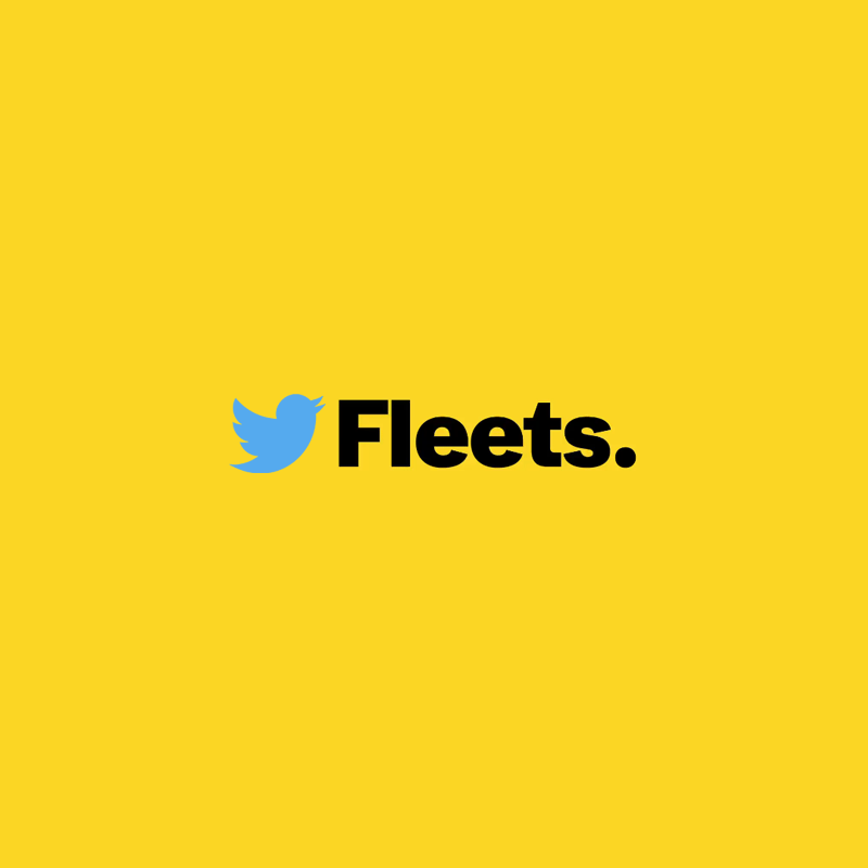 Twitter Fleets.