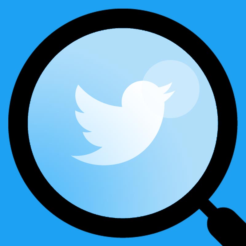 Twitter - magnifying glass