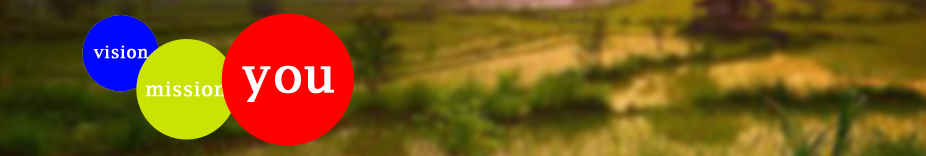 Vision - Mission - You