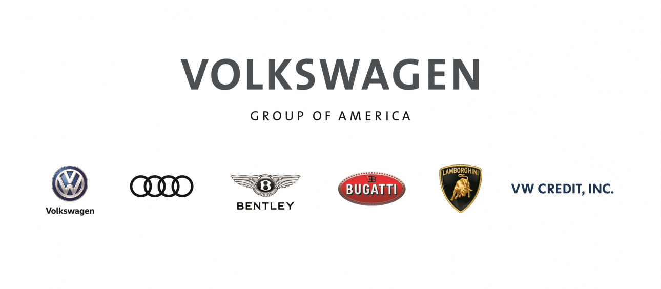 Vag group картинка