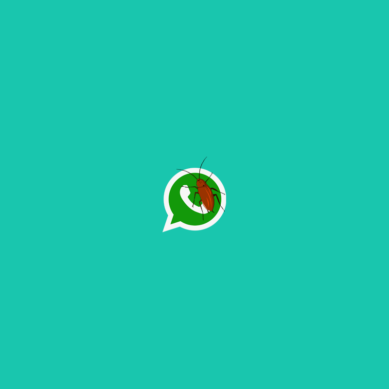 WhatsApp bug, cockroach