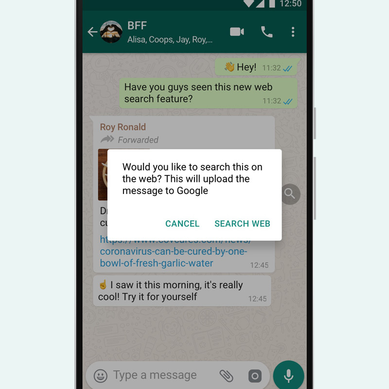 WhatsApp - Search the web feature on Android