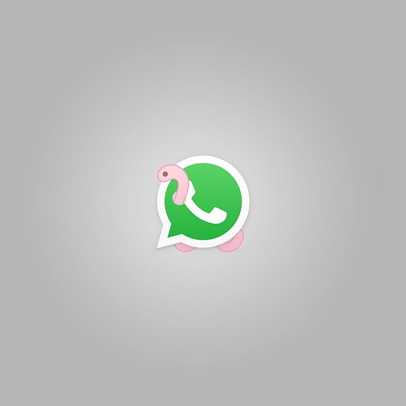 WhatsApp and a worm