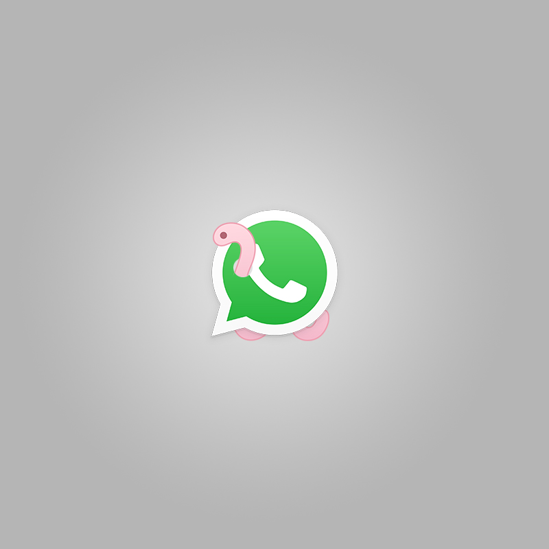 WhatsApp and a worm
