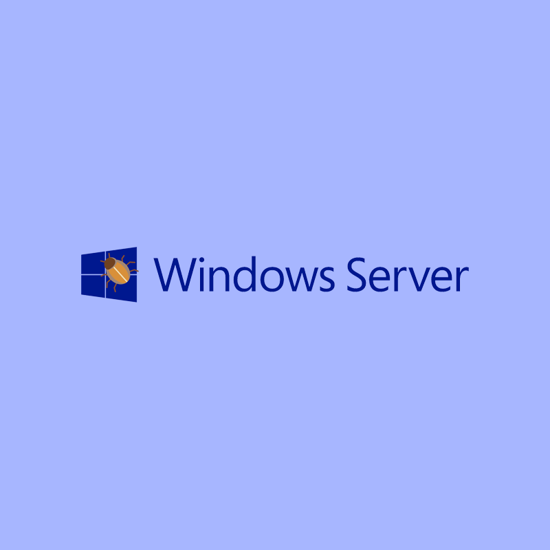 Microsoft Windows Server bug