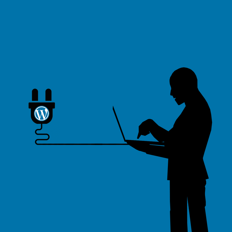 WordPress plugin hack