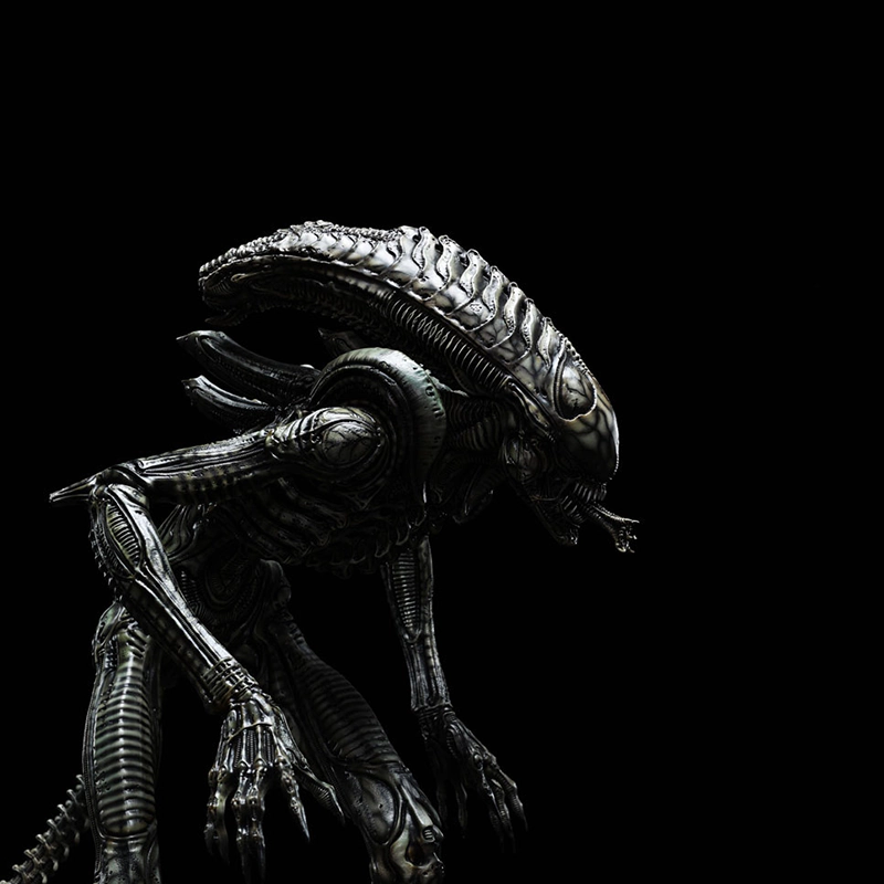 Xenomorph