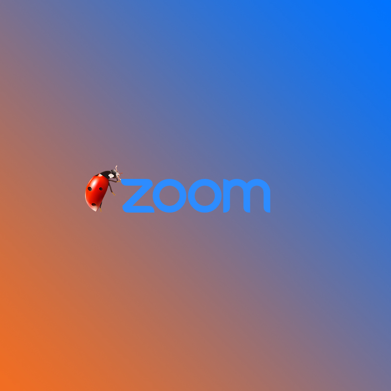 Zoom bug
