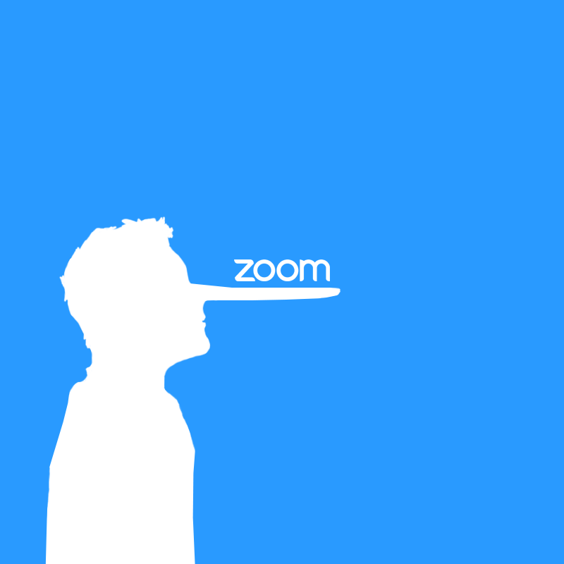 Zoom lie